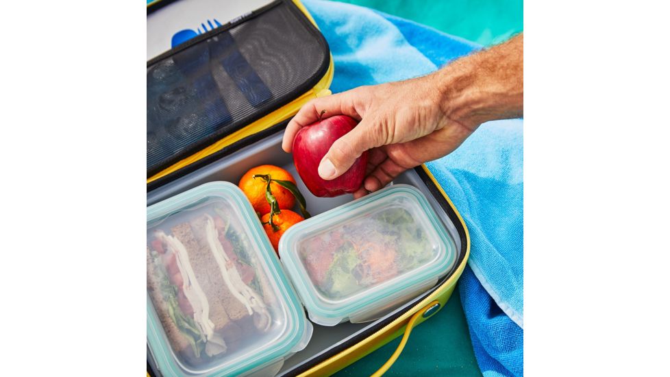 Hydro Flask Insulated Lunch Box, Sunflower, Large, LBM720