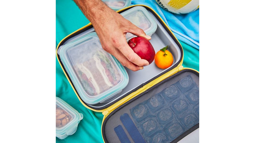 Hydro Flask Insulated Lunch Box, Sunflower, Small, LBS720