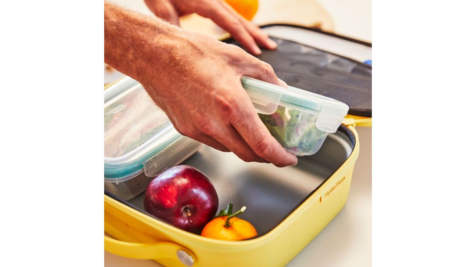 Hydro Flask Insulated Lunch Box, Sunflower, Small, LBS720