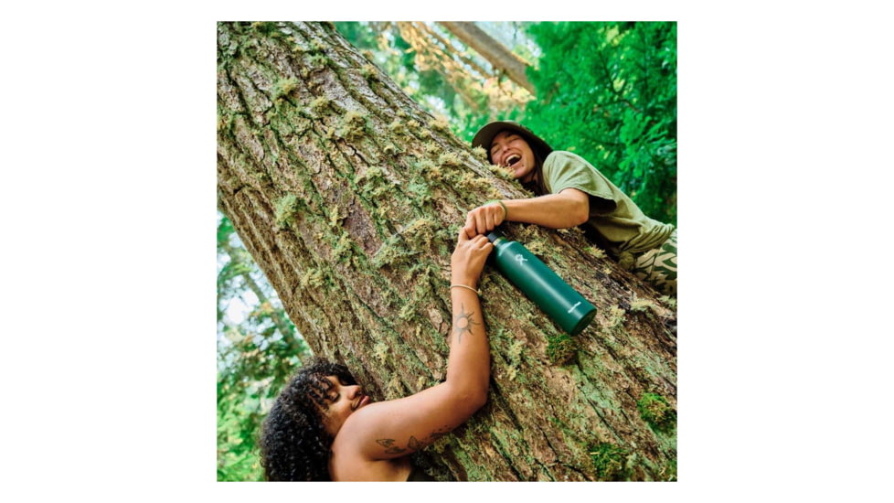 Hydro Flask Standard Flex Cap, Fir, 24 oz, S24SX332