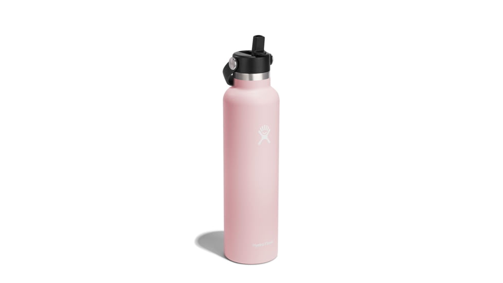 Hydro Flask Standard Flex Straw Cap, Trillium, 24 oz, S24FS678