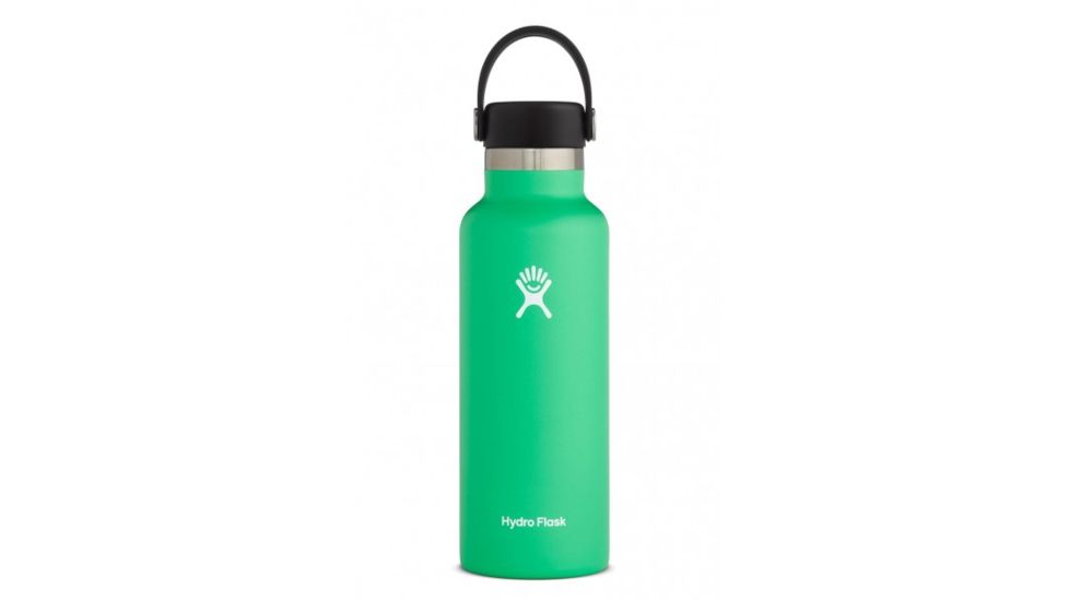 Hydro Flask Standard Mouth, Spearmint, 18 oz., S18SX340