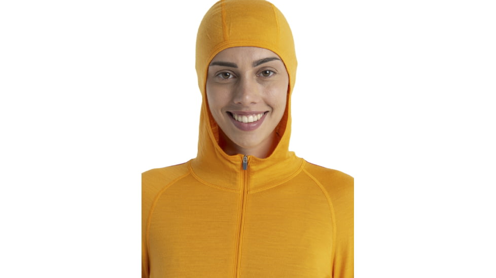 Icebreaker 200 Sonebula Long Sleeve High Neck Thermal Top - Womens, Earth/Solar/Electrnpnk/Cb, Medium, IB0A59JU939M