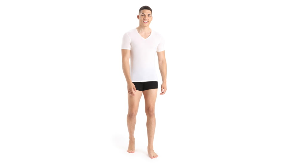 Icebreaker Anatomica Short Sleeve V Neck T-Shirt - Men's, Snow, Extra Large, IB103661104XL