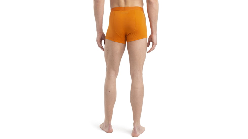 Icebreaker Cool-Lite Anatomica Trunks - Mens, Earth, Medium, IB105223865M