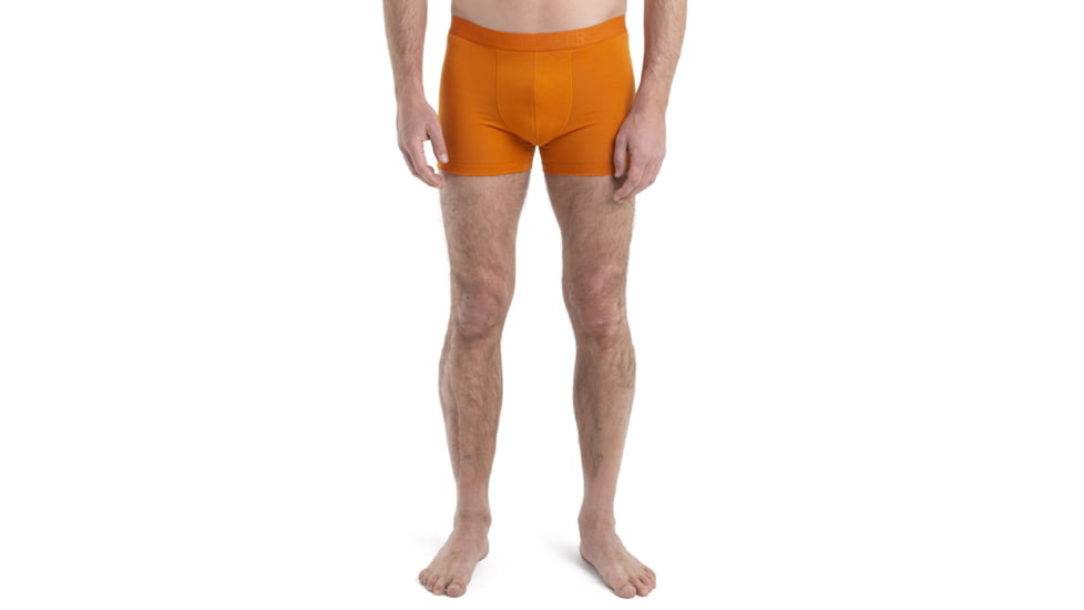 Icebreaker Cool-Lite Merino Anatomica Boxers - Mens, Earth, Medium, IB105246865M