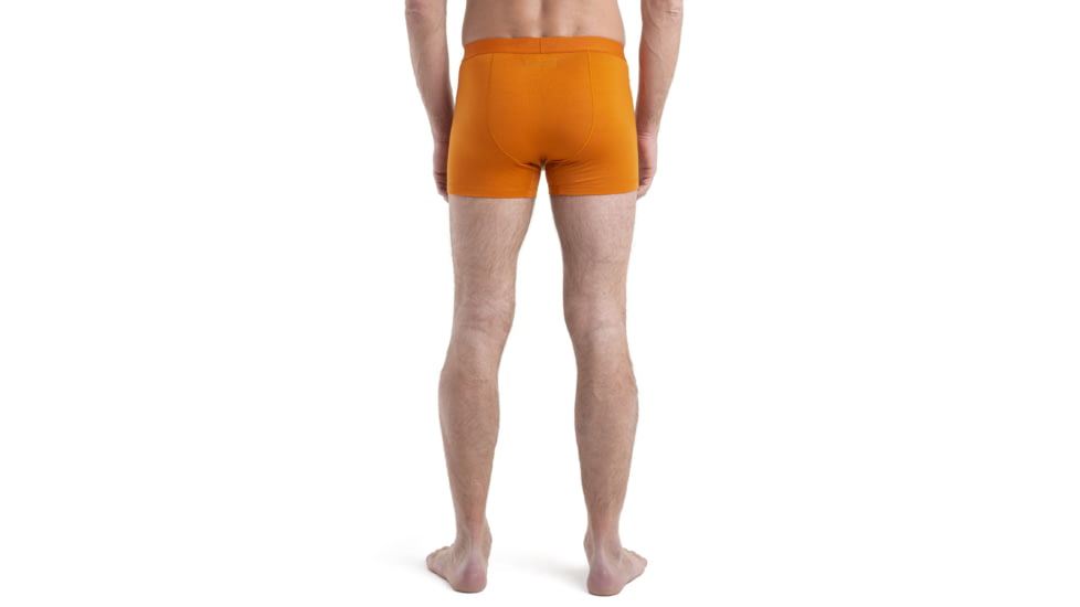 Icebreaker Cool-Lite Merino Anatomica Boxers - Mens, Earth, Medium, IB105246865M