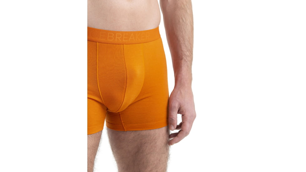 Icebreaker Cool-Lite Merino Anatomica Boxers - Men's, Earth, Medium, IB105246865M