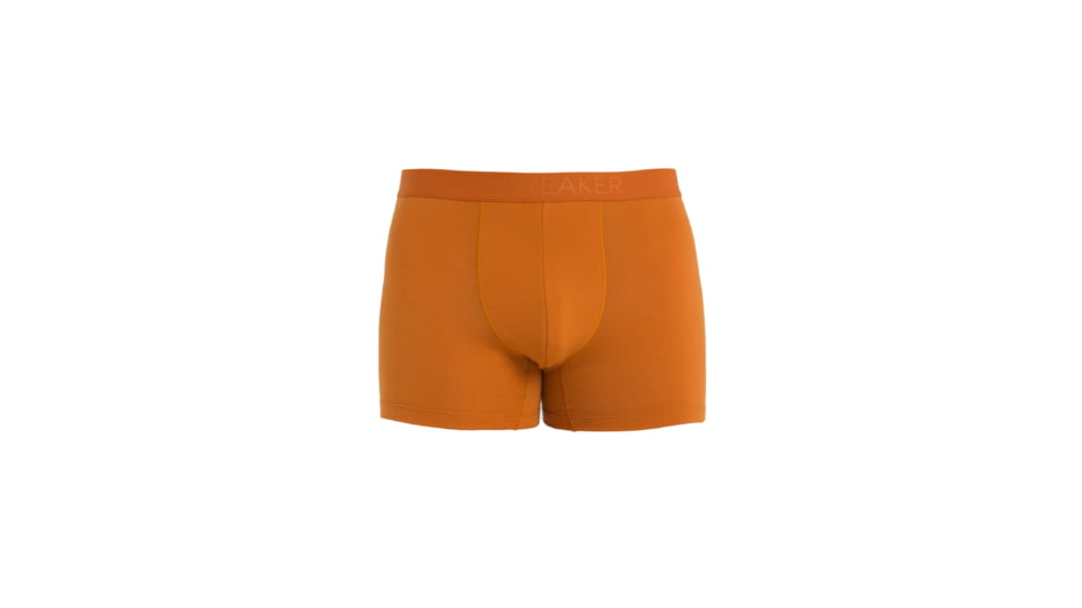 Icebreaker Cool-Lite Merino Anatomica Boxers - Mens, Earth, Medium, IB105246865M