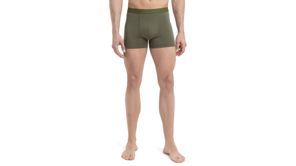 Icebreaker Cool-Lite Merino Anatomica Boxers - Mens, Loden, Small, IB105246069S