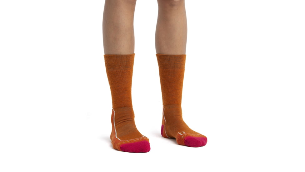 Icebreaker Hike+ Light Medium Crew Socks - Women's, Earth/Electron Pink/Snow, Small, IB105097970S