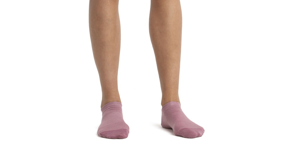 Icebreaker Lifestyle Fine Gauge No Show Socks - Womens, Crystal/Nightshade, Large, IB0A56CE913L