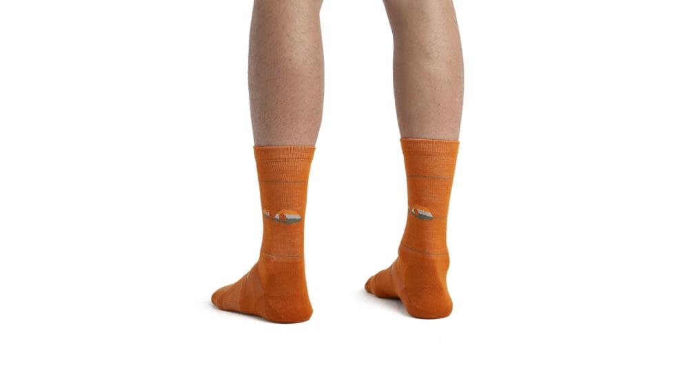 Icebreaker Lifestyle Ultralight Crew Backcountry Camp Socks - Mens, Earth/Solar/Ether, Medium, IB105305961M