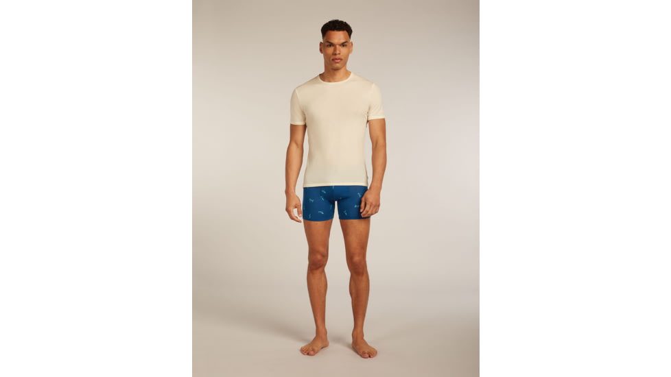 Icebreaker Merino 150 Anatomica Boxers Ski Day - Mens, Atlantis/Topaz/AOP, Small, IB0A57340H8S