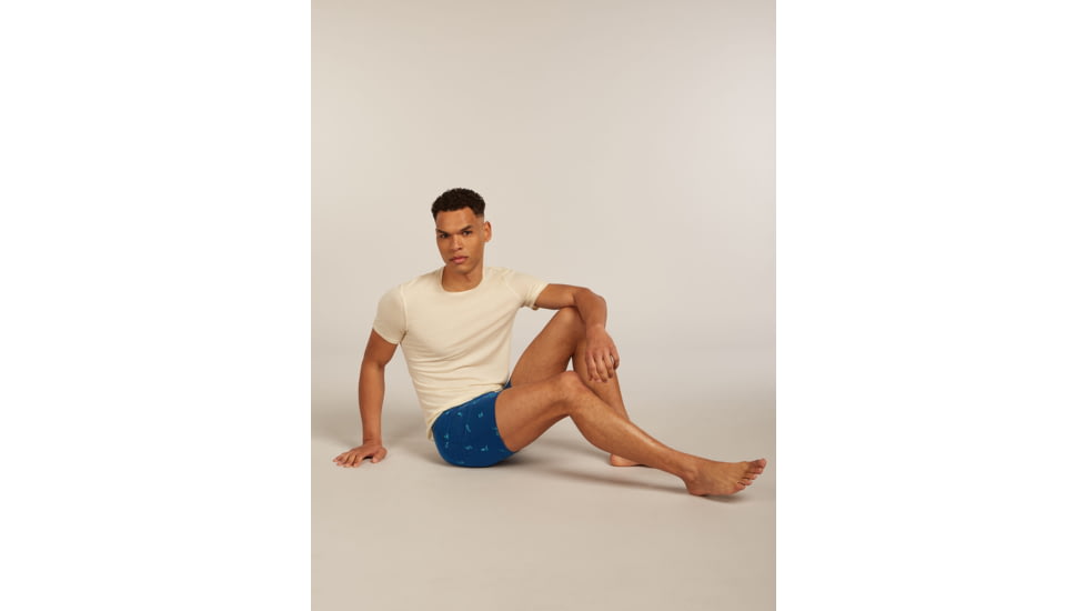 Icebreaker Merino 150 Anatomica Boxers Ski Day - Mens, Atlantis/Topaz/AOP, Small, IB0A57340H8S