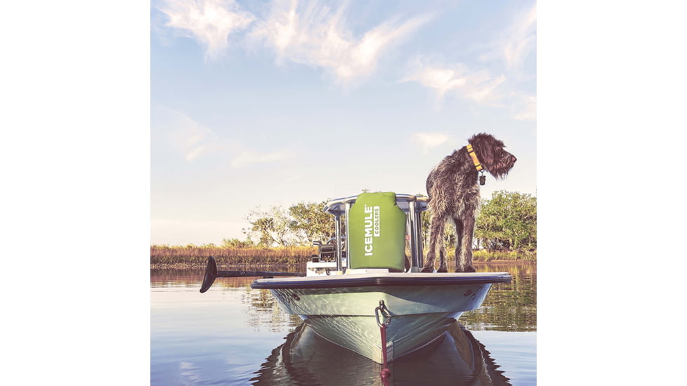 IceMule Coolers Classic Medium Cooler, 15 Liters, Olive, 1005-OL