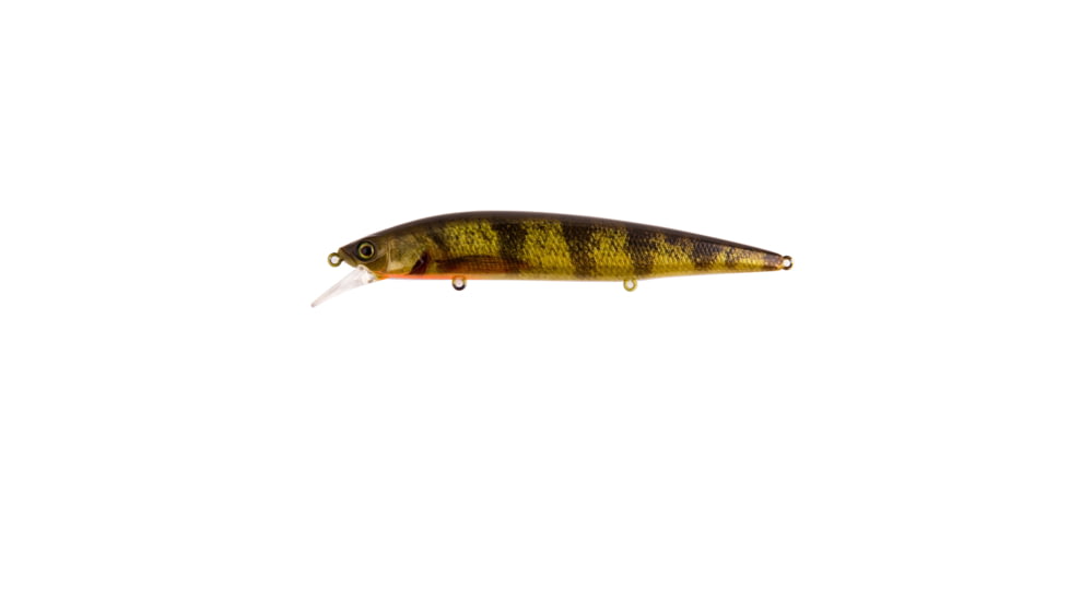 Jackall Lures Jackall Rerange 110Mr, Jerkbait, Dives To 8, Weight Transfer System, RT Perch, 4 1/3in, 1/2oz, JRERA110MR-RTP