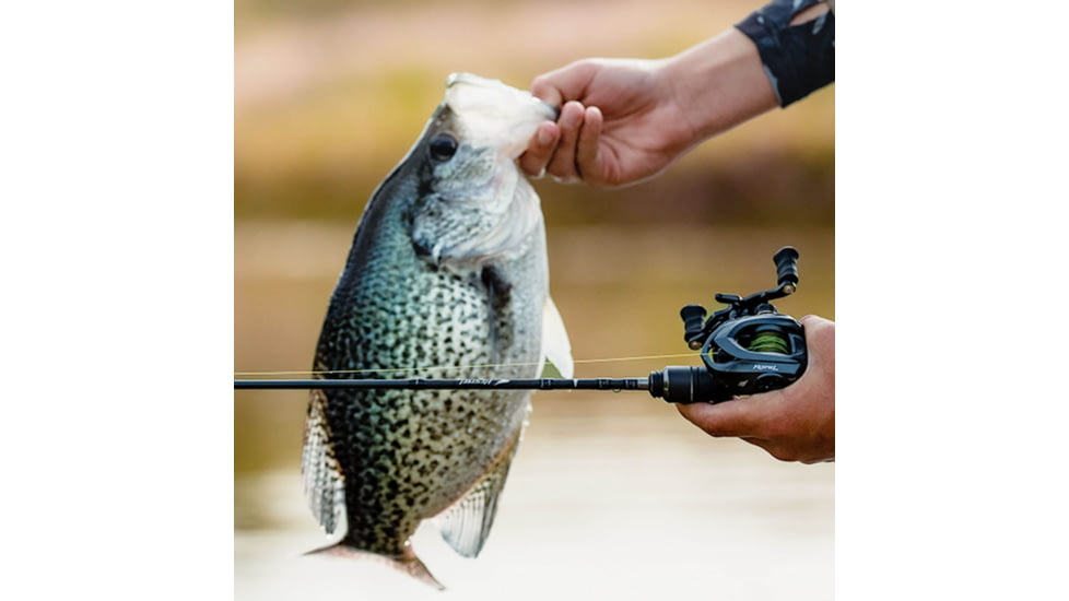 Kast King Kestrel Finesse Fishing Rod, Casting 6 9 2pc Fast-Ultra-Light, KKRDCSTKS63ULBF2