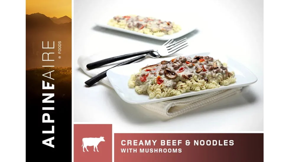 Katadyn Creamy Beef and Noodles w/Mushrooms, One Size, 62405