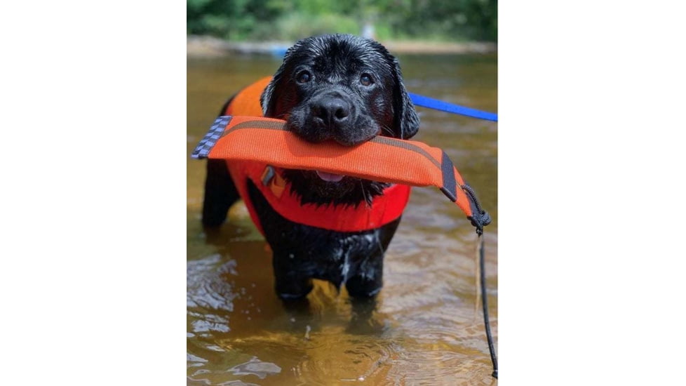 Katies Bumpers Heave Hose Big Mouth Org HH4ORG