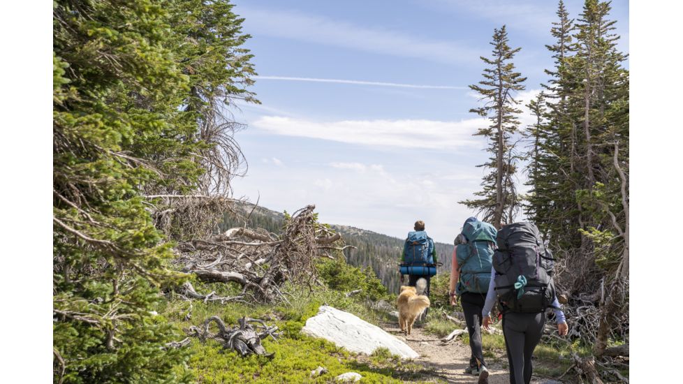 Kelty Coyote 60 - Women's, Asphalt / Blackout, 22617520AS