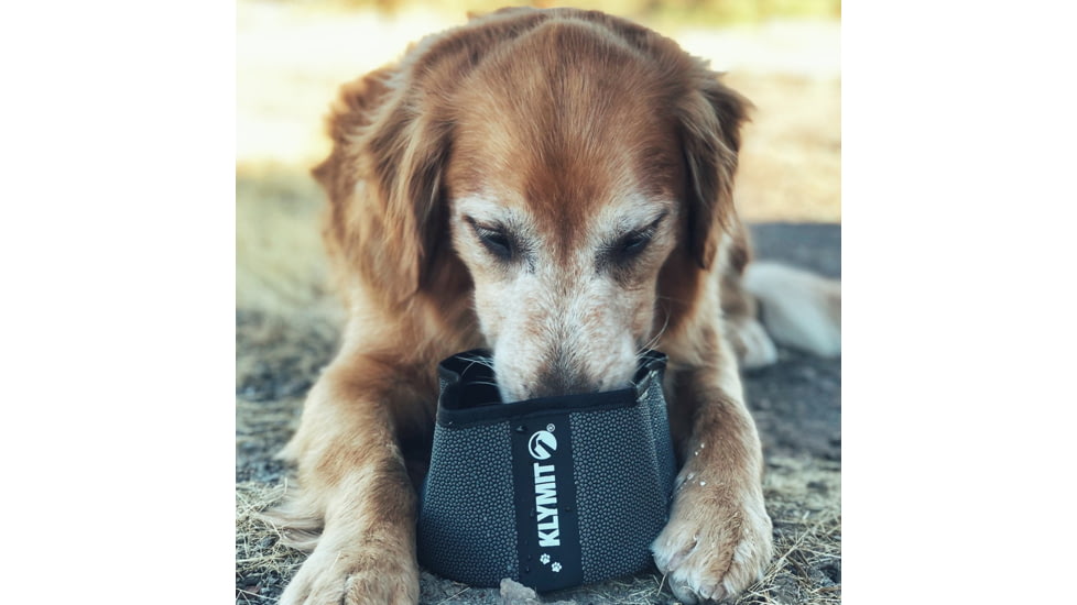 Klymit Dog Bowl, Black / Grey, 12DBSF01B
