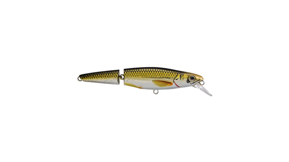 Koppers Live Target Rainbow Smelt Jointed Crankbait Lure 4-1/2" - Gold/Black 123871