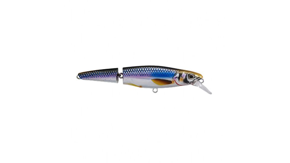 Koppers Live Target Rainbow Smelt Jointed Crankbait Lure 4-1/2" - Silver/Blue 123867