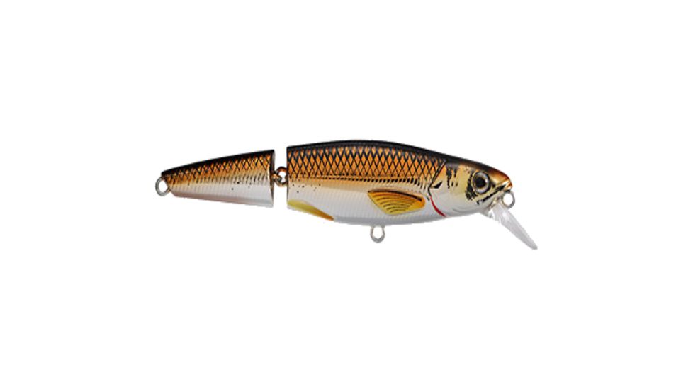 Koppers Live Target Rainbow Smelt Jointed Crankbait Lure 4-1/2" - Silver/Bronze 123870