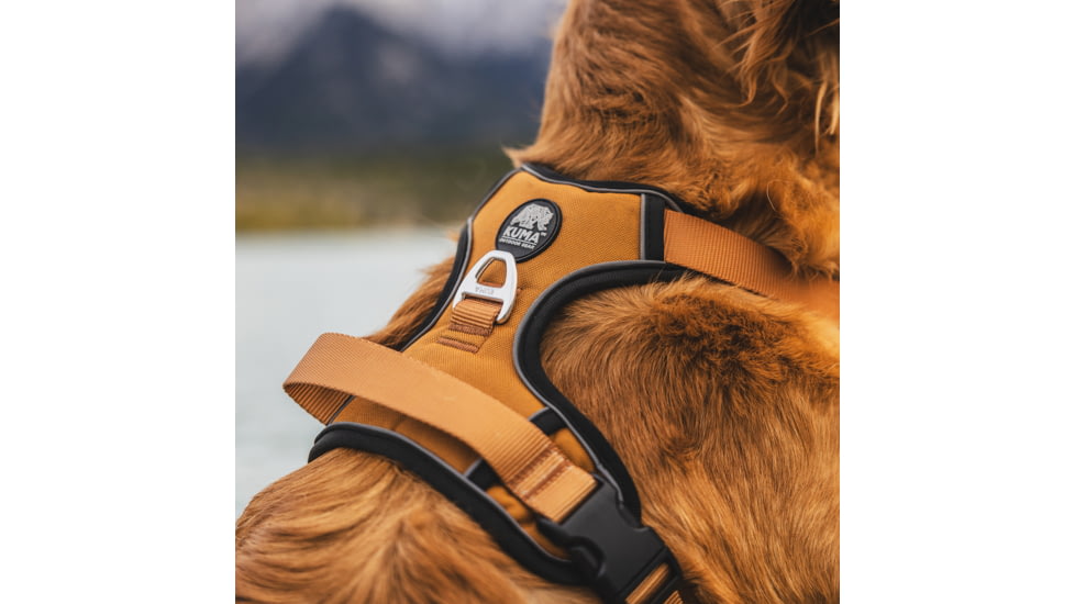 Kuma Outdoor Gear Lazy Bear Dog Harness