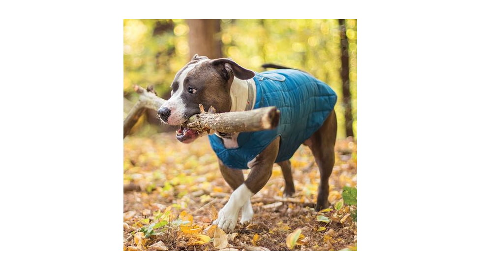 Kurgo Reverse Loft Jacket Bl/orng M 01318