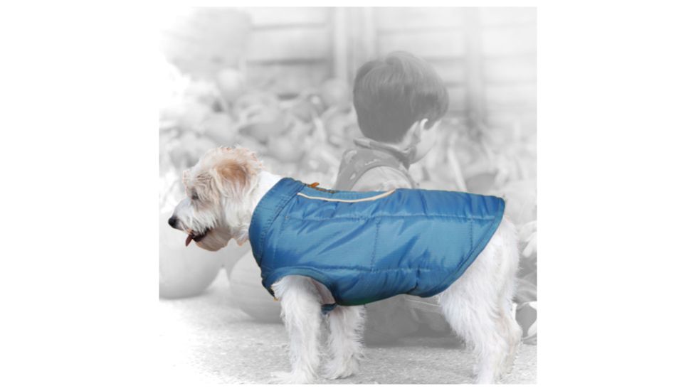 Kurgo Reverse Loft Jacket Bl/orng S 01317