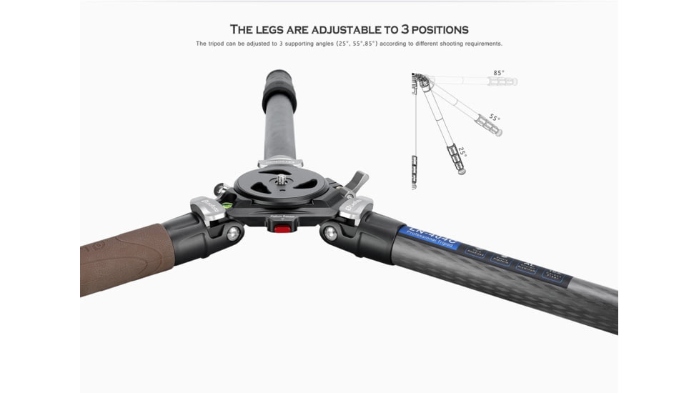 Leofoto LN-404C Heavy Duty Tripod w/ 100mm Bowl/Platform &amp; Bag, Black, LN-404C