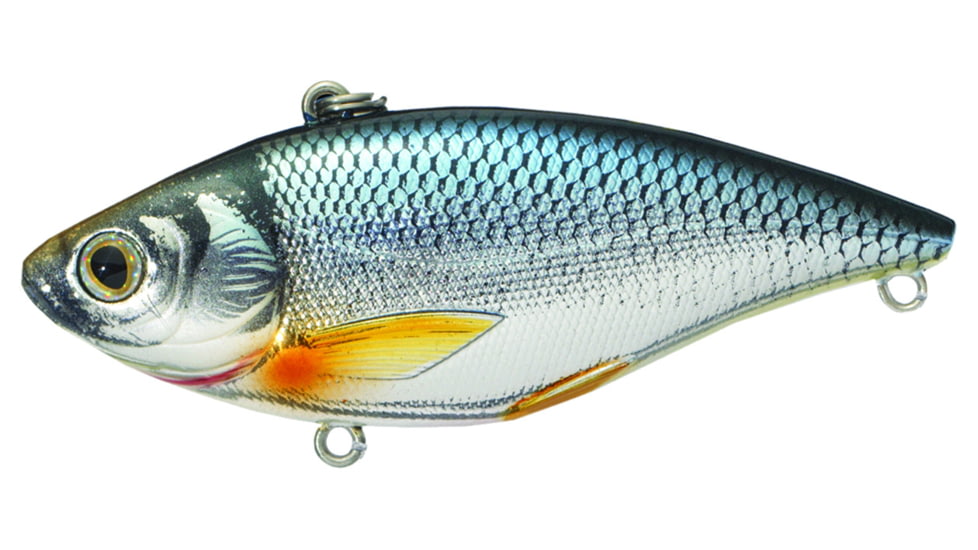 Live Target Livetarget Golden Shiner Lipless Rattlebait, Sinking, Silver/Blue, 2 3/8in, 1/4oz, #8 Hook, GS60SK201