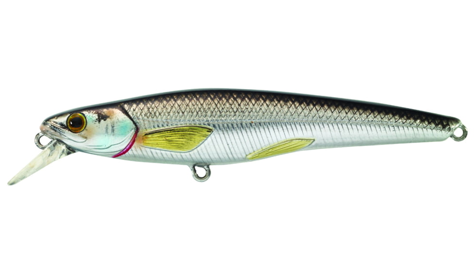 Live Target Livetarget Rainbow Smelt Shallow Dive Jerkbait, 3-4, Suspending, Silver/Black, 3-4, 1/8oz, #8 Hooks, RS70S202