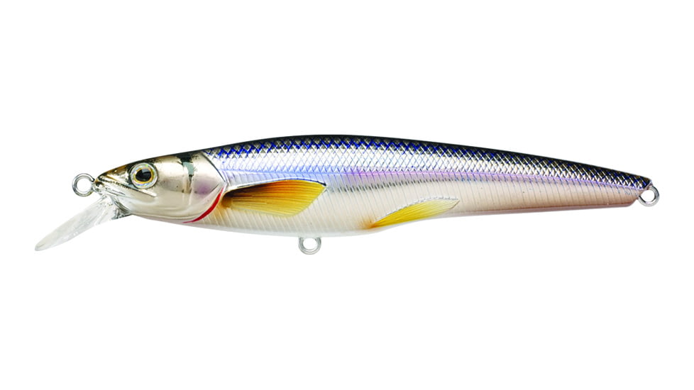 Live Target Livetarget Rainbow Smelt Shallow Dive Jerkbait, 3-4, Suspending, Silver/Blue, 3-4, 1/8oz, #8 Hooks, RS70S201