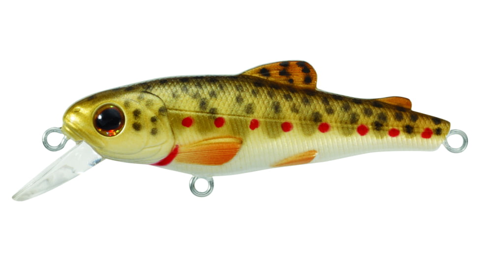 Live Target Livetarget Trout, Fry, Shallow Dive Jerkbait, Sinking, Brown Trout, 2in, 1/8oz, #10 Hooks, TF50S901