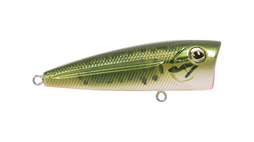 Livingston Lures Walk N Pop 67 Lure, Baby Bass, 5301