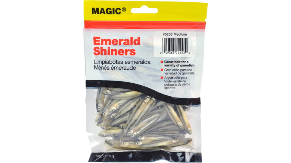 Magic Preserved Shiner Minnows