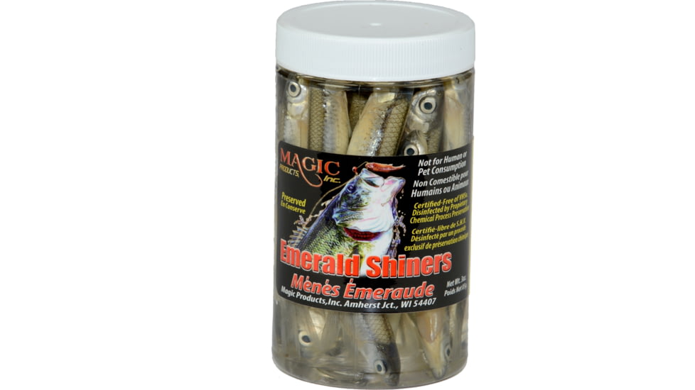Magic Preserved Shiner Minnows
