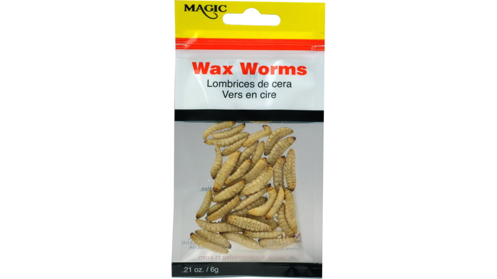 Magic Preserved Wax Worms
