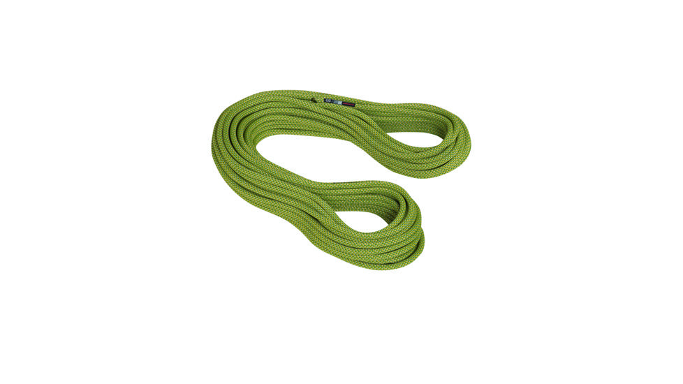 Mammut 9.5 Infinity Classic Climbing Rope-Pappel-60 m