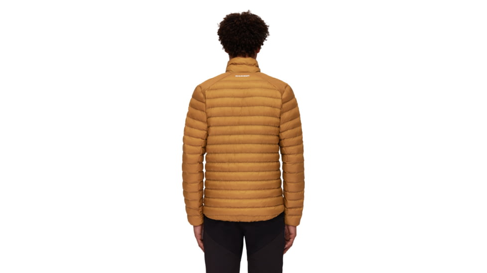 Mammut Albula IN Jacket - Mens, Cheetah, Medium, 1013-01801-7502-114