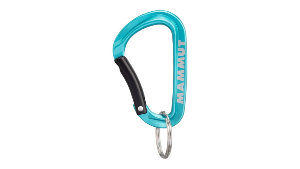 Mammut Mini Carabiner Classic Keylock S, Blue, One Size, 2810-00300-5018-1