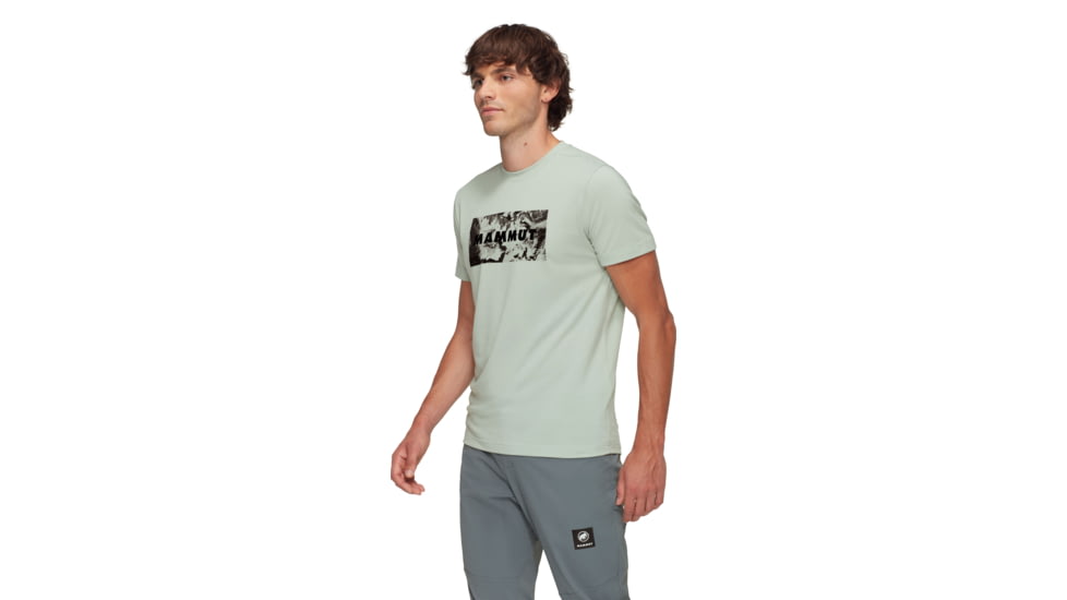 Mammut Trovat Logo T-Shirt - Mens, Silver Sage, S, 1017-06460-1288-113