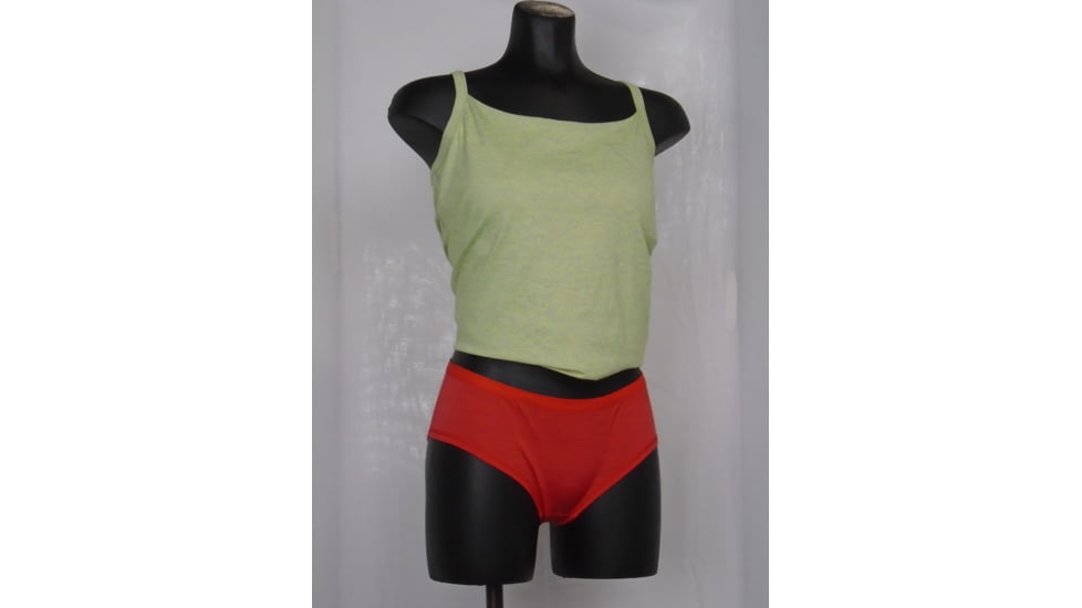 Merino+ 120 Brief - Women's-Pasada-Large