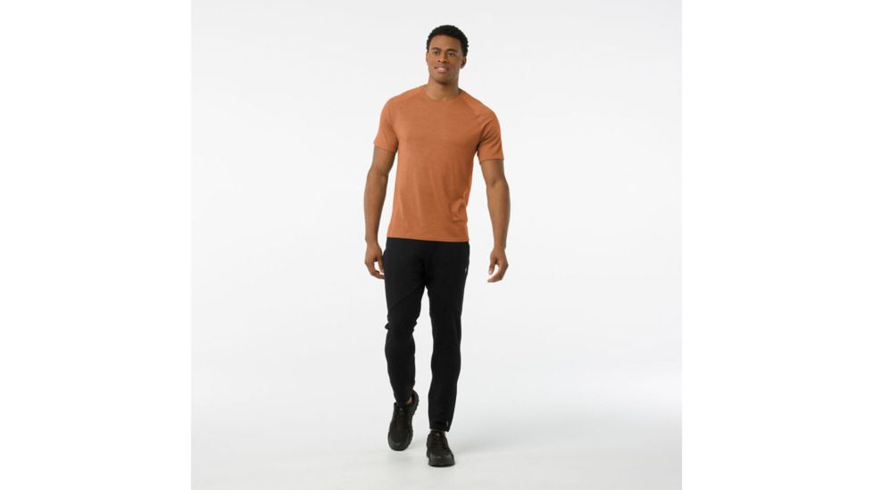 Smartwool Merino 150 Baselayer Pattern Short Sleeve Shirt Mens, Cardamom, M, SW016060877-M