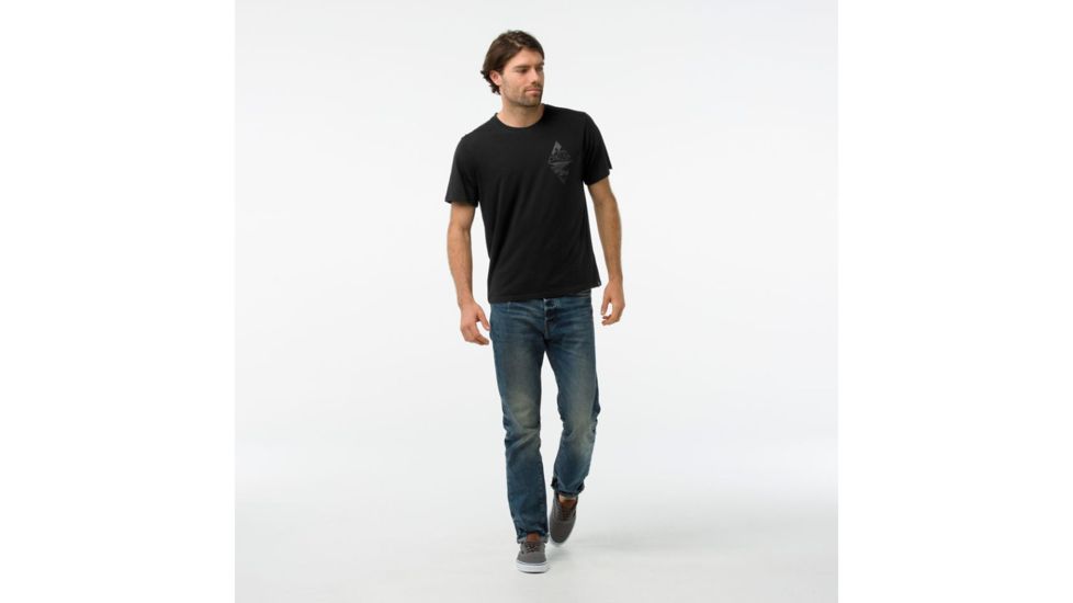 Smartwool Merino 150 Diamond Dreaming Tee-Men's, Black, Large, SW016082001-L