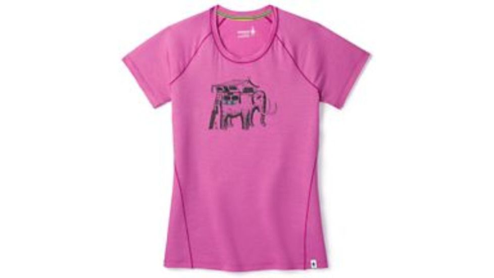 Smartwool Merino 150 Mobile Mammoth Tee-Women's, Meadow Mauve, Medium, SW014089A22-M