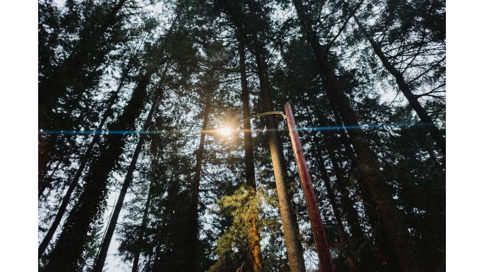 Moment 67mm CineFlare Streak Filter, Gold, 600-126